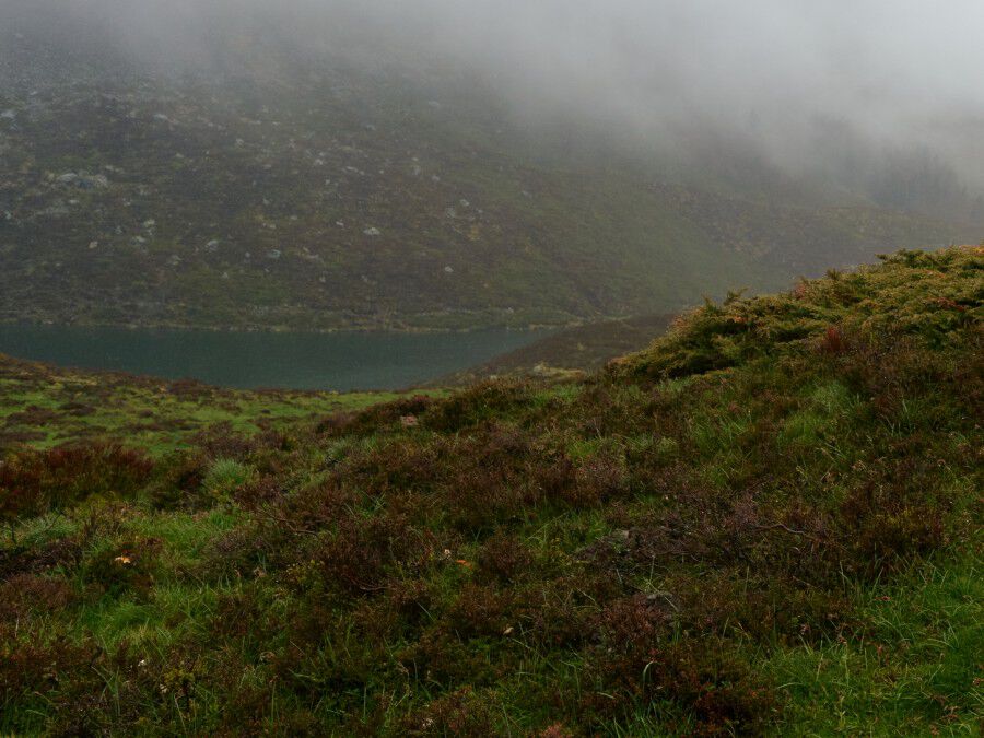 M&auml;nner Oberteile