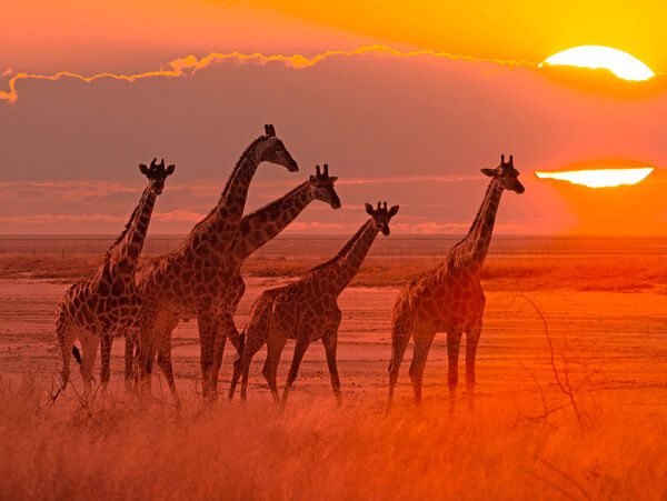 Sommer 2020 – Mehr Recycling & weniger Müll