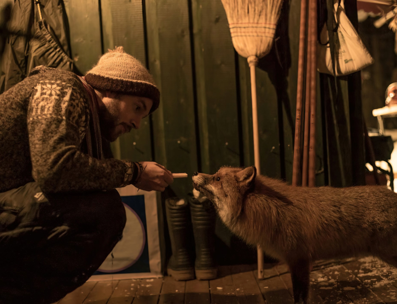 Chris füttert einen Fuchs