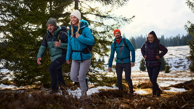 Vier Wanderer laufen durch einen Wald