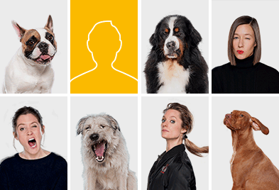Hast du den Hundeblick drauf?