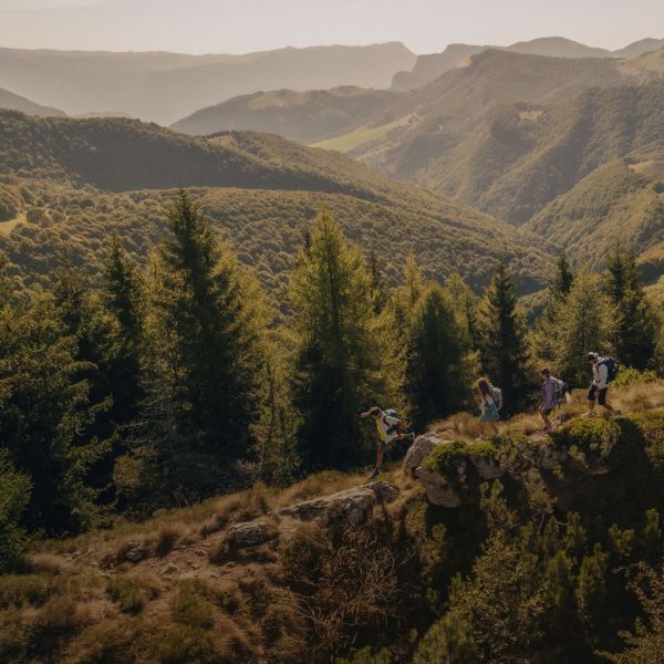 Drohnenaufnahme von vier sommerlich gekleideten Wanderern in waldiger Berglandschaft